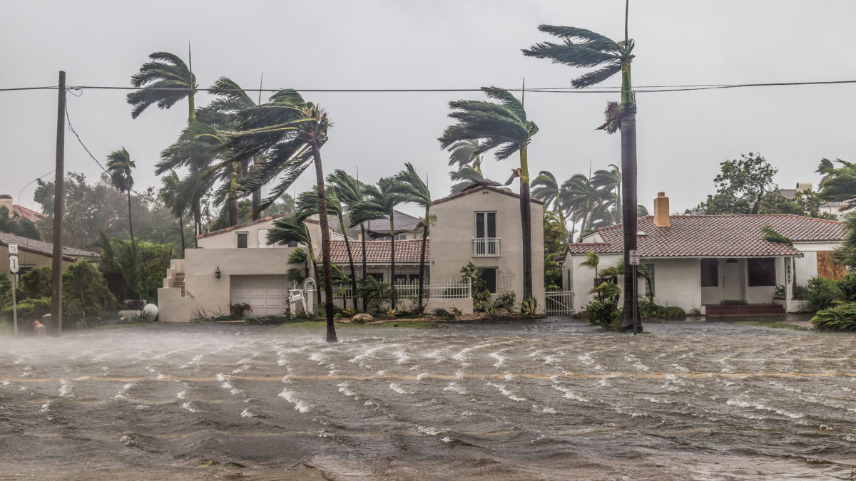 U.S. Army proposes $4.6 billion wall to protect Miami from rising seas