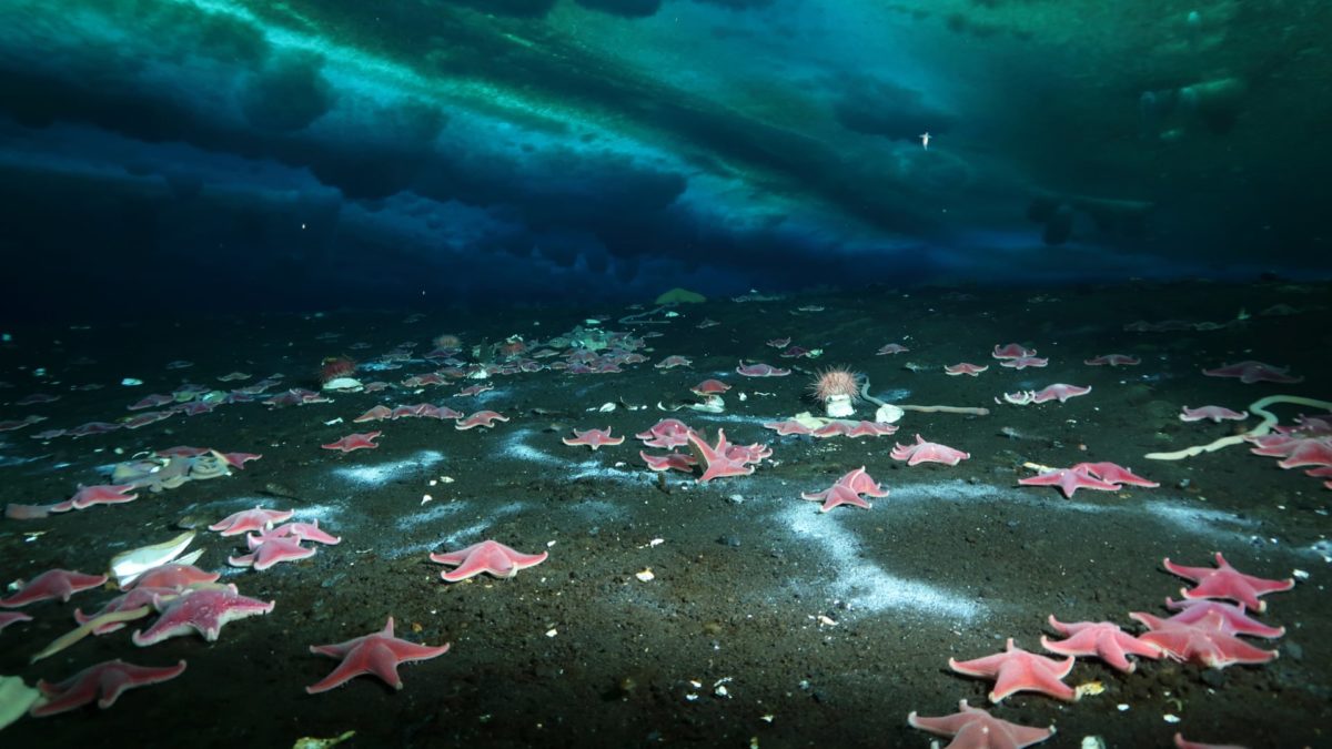 The Antarctic Sea is leaking methane gas