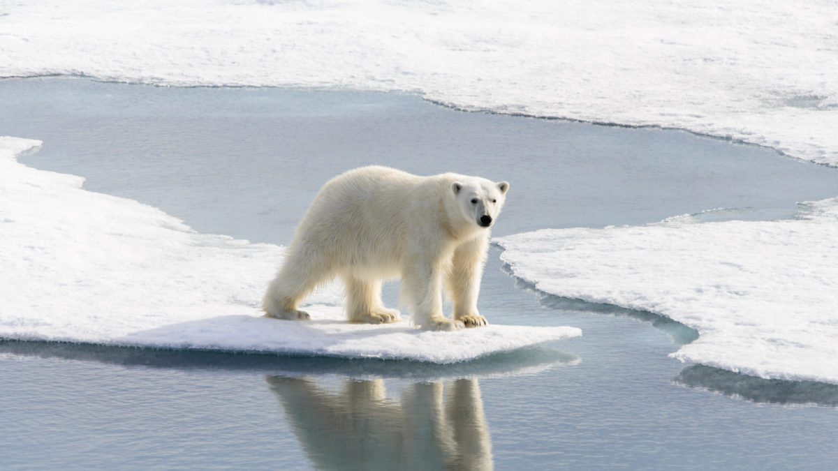 Half full or half empty?  New study rules out both best and worst climate outcomes