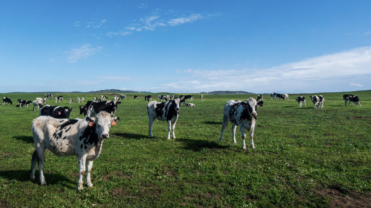 Record-high methane emissions could spawn natural disasters this century