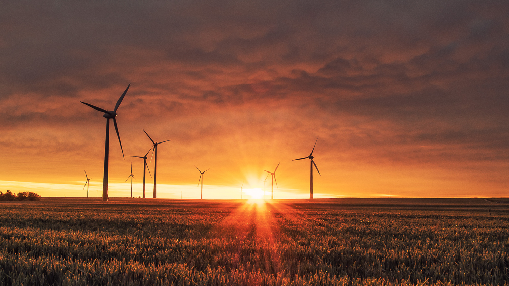 Three businesswomen weigh in on what Biden-Harris will mean for green investing