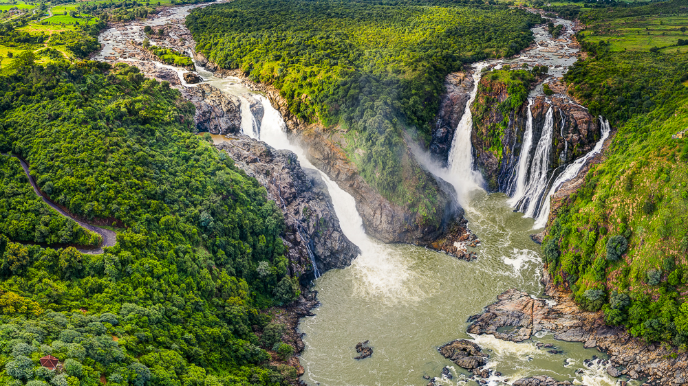 Climate Finance Weekly: ESG moves toward a single standard