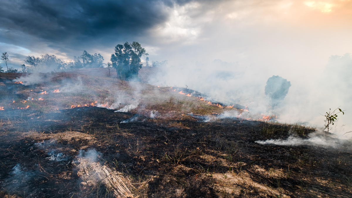 With record-breaking disasters, 2020 shows climate change is here