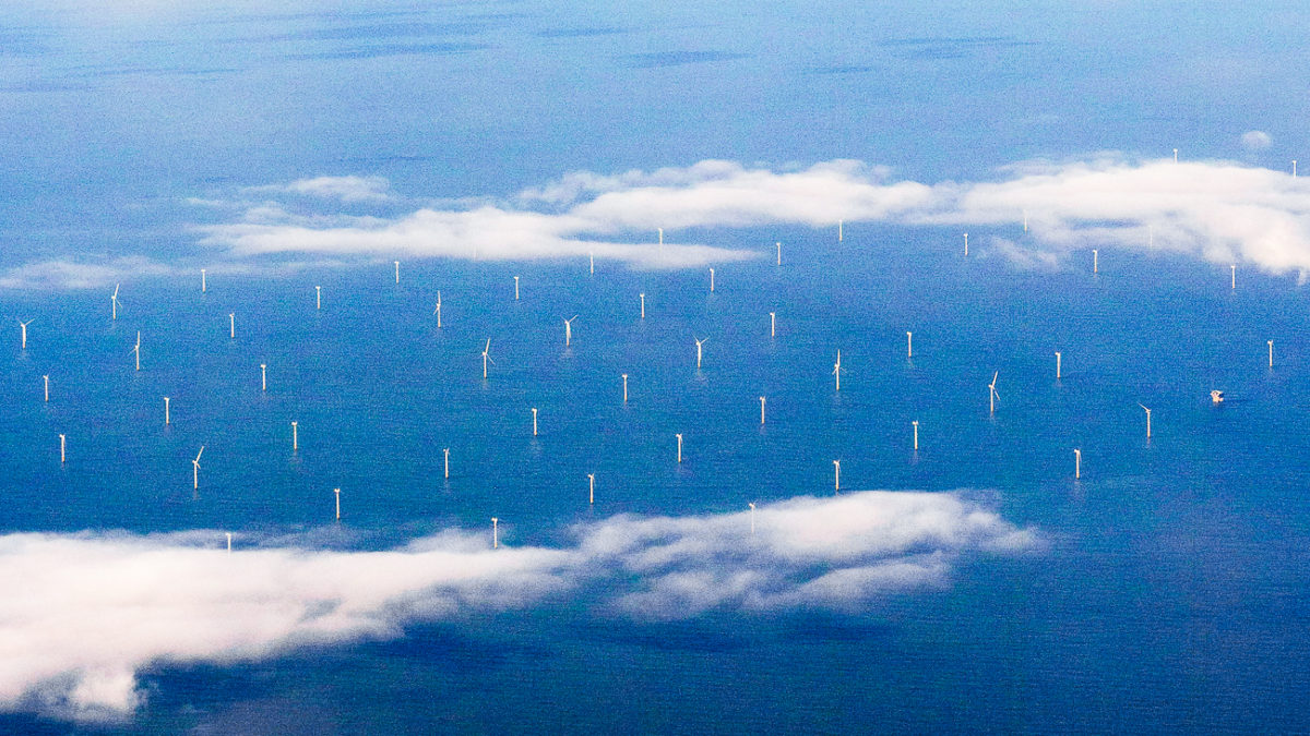 Climate Finance Weekly: Net zero is here, there and everywhere