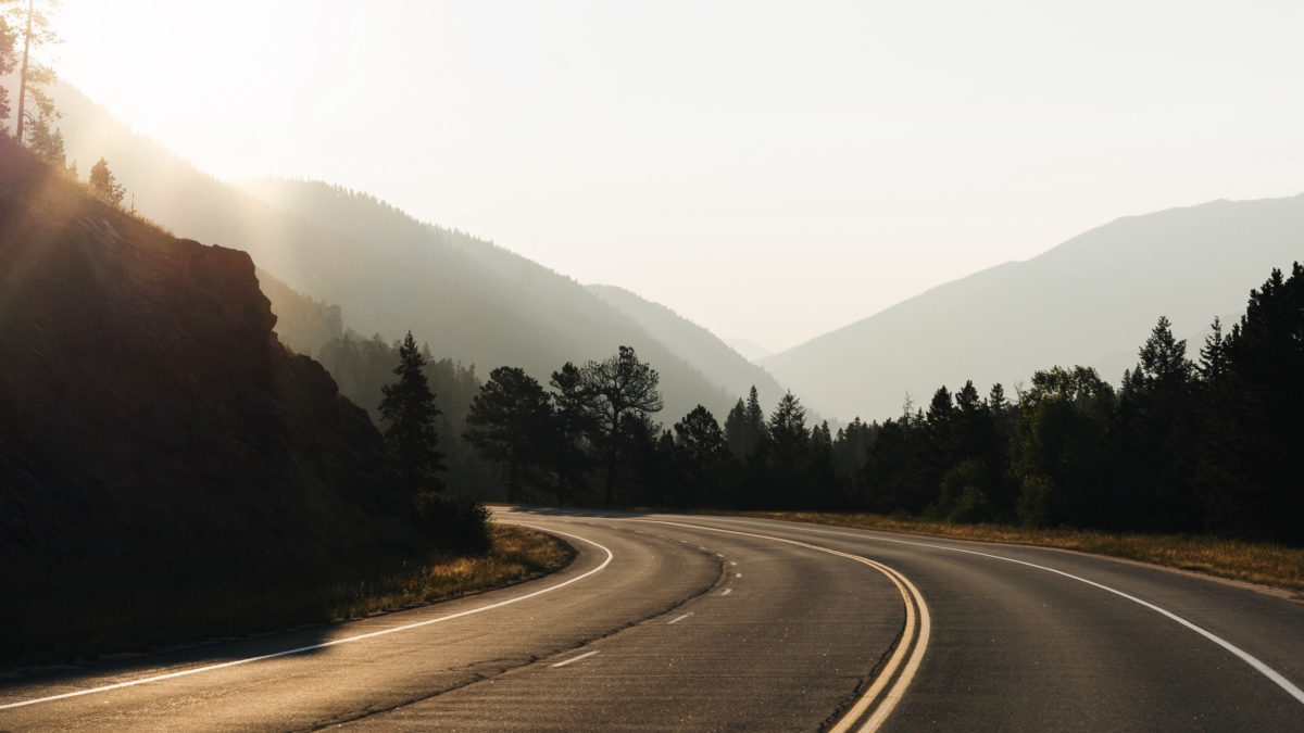 Climate Finance Weekly: 2021 and the road to climate profits
