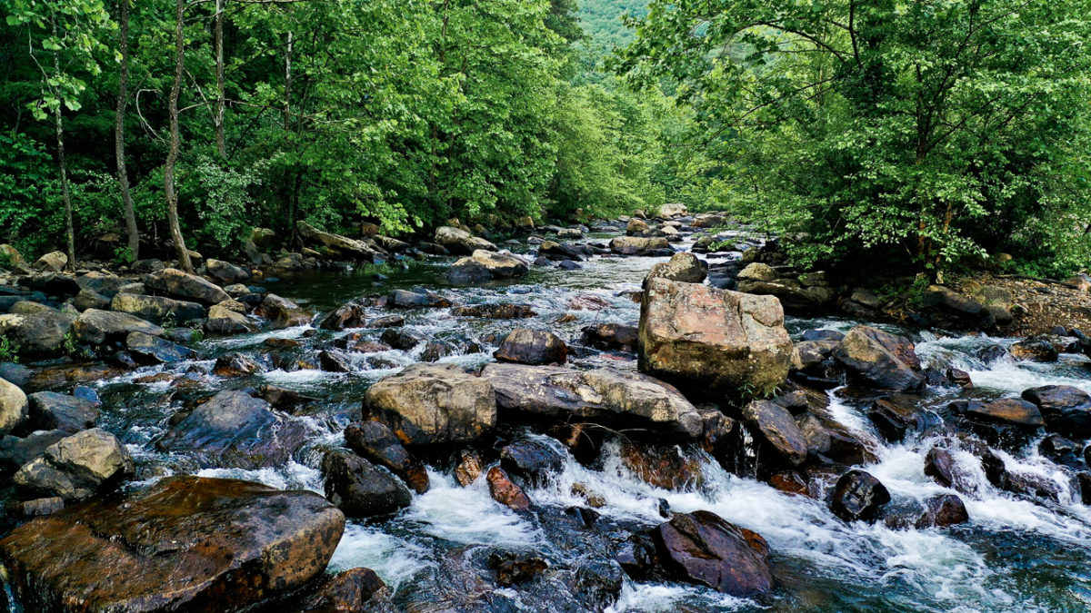 Virginia to hire its first environmental justice director
