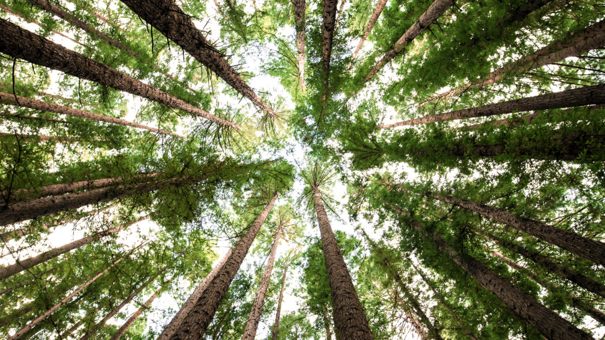 Climate Finance Weekly: ImpactAssets connects capital with investors