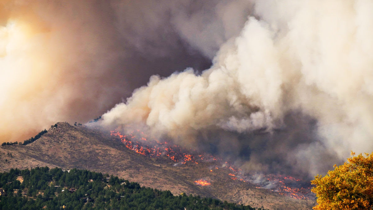 Insurance companies face a climate reckoning