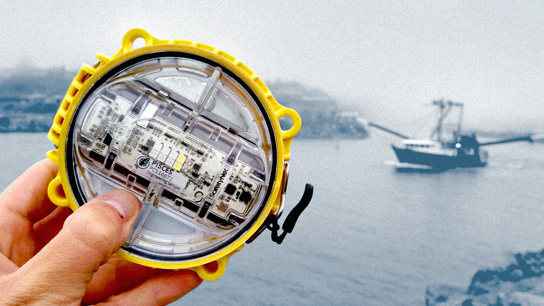 Data-driven, LED-powered smart fishing could help save ocean ecosystems