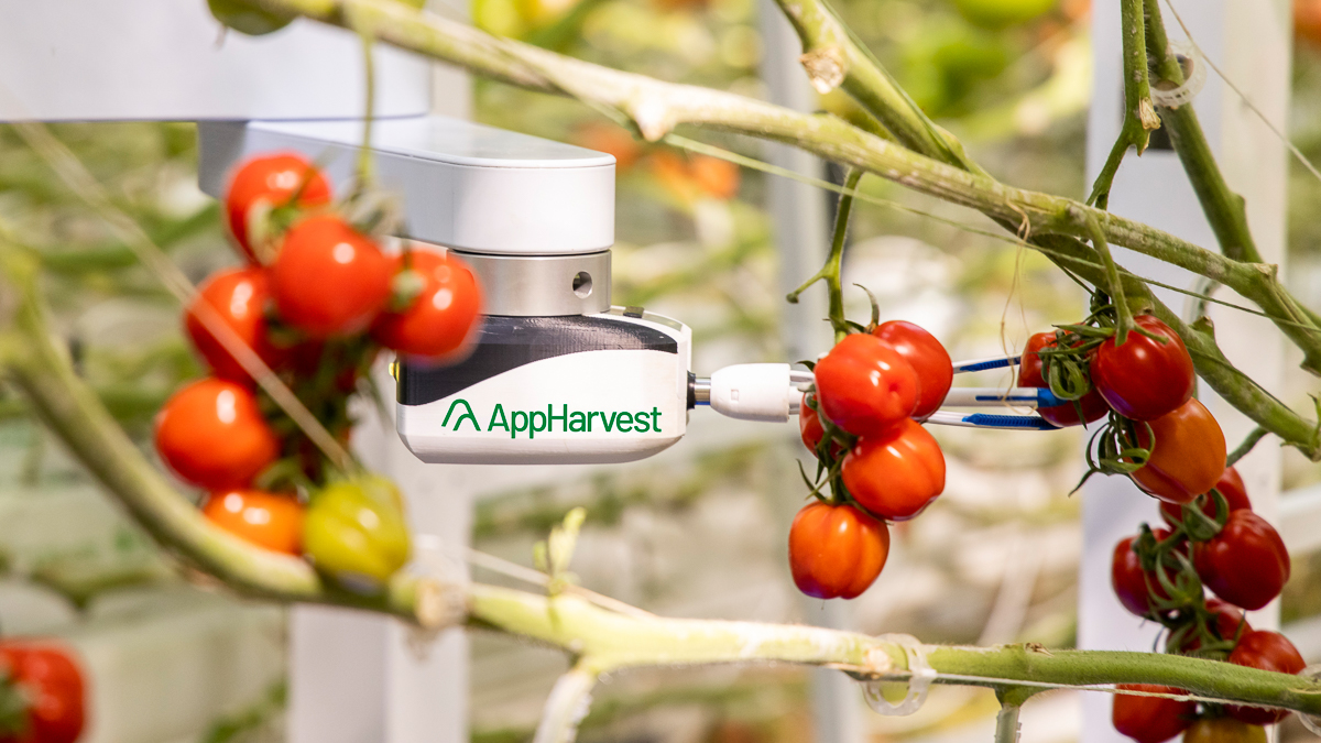 Seven vertical farm investments to consider