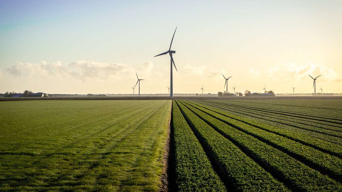 A better balance of carrot and stick is needed for companies to reach net zero