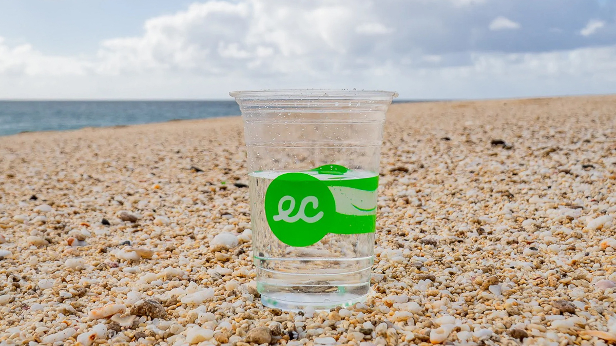 Earth Cups: Two college grads are taking down red Solo cups one green cup  at a time - Climate and Capital Media