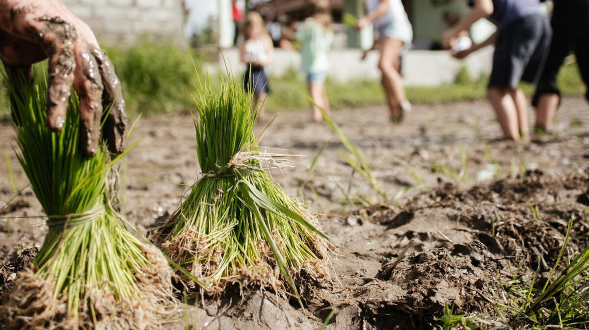 A global food crisis calls for soil resilience