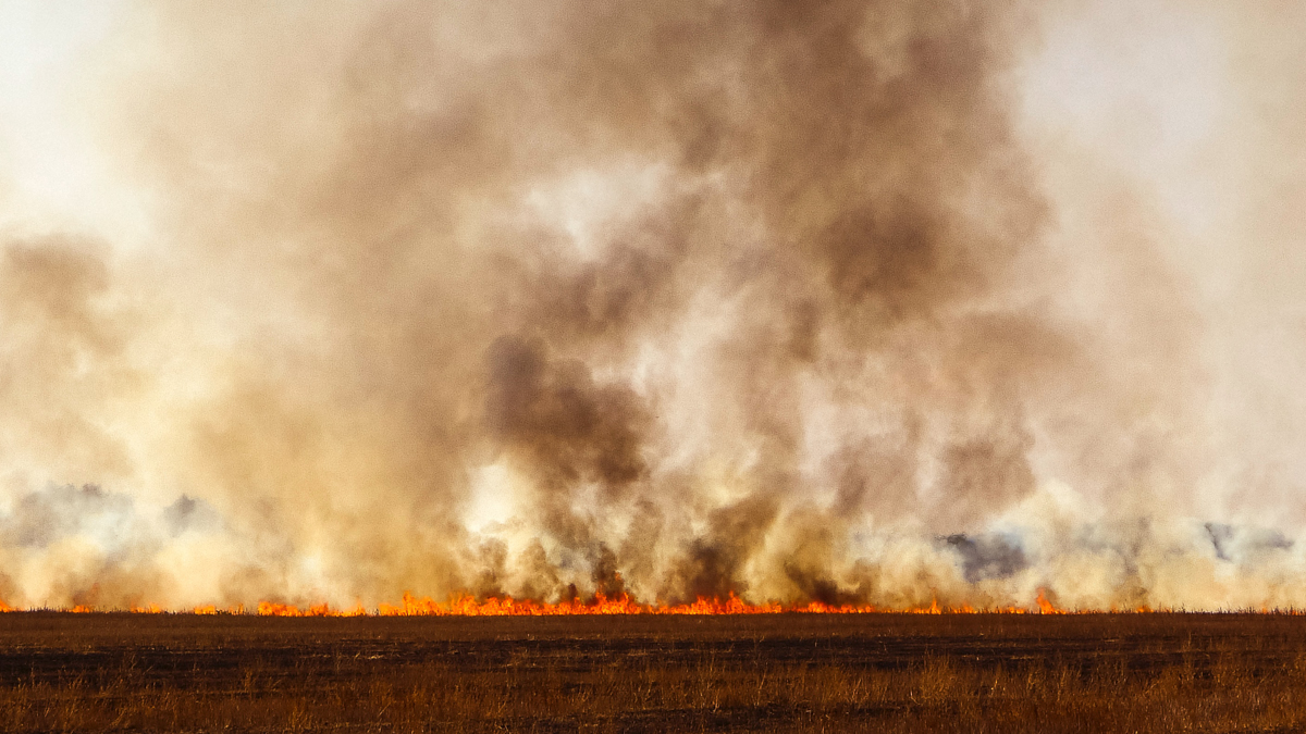 $9.6 trillion in corporate risk over nature loss? What investors should know.