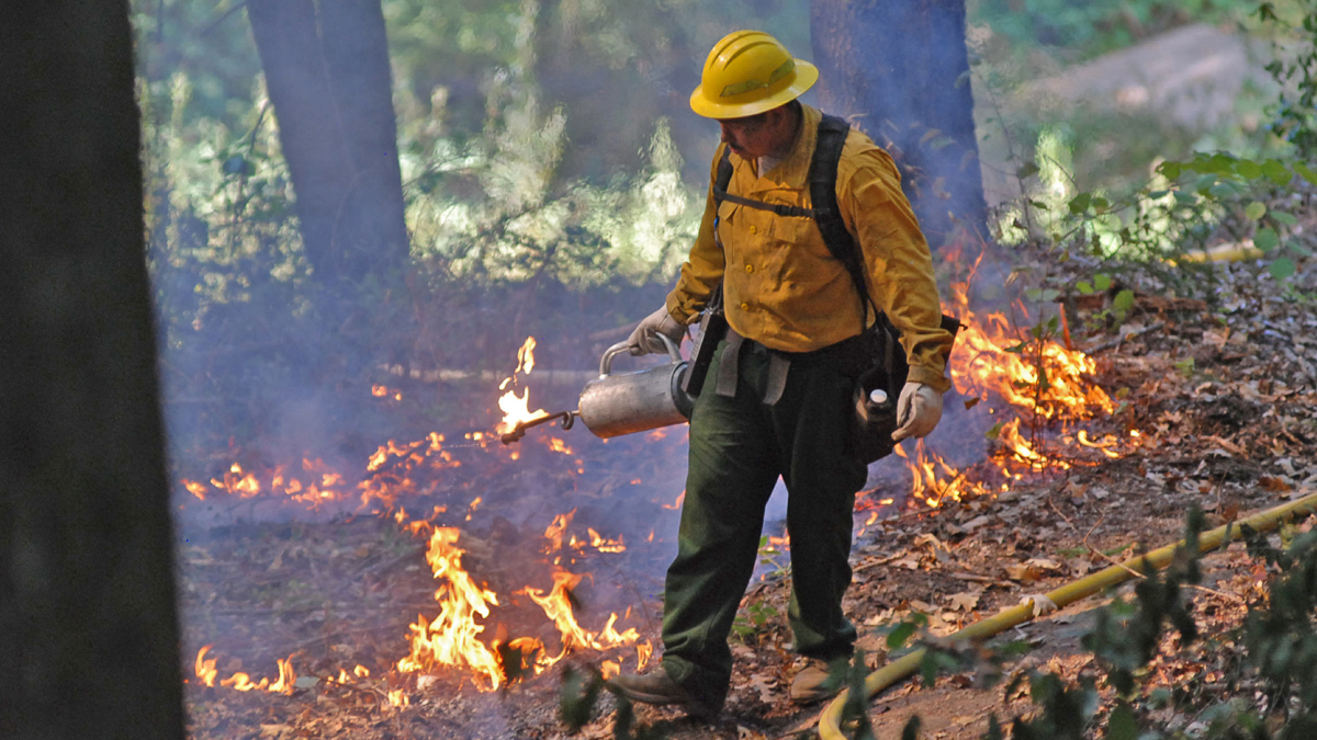 What climate adaptation technology looks like