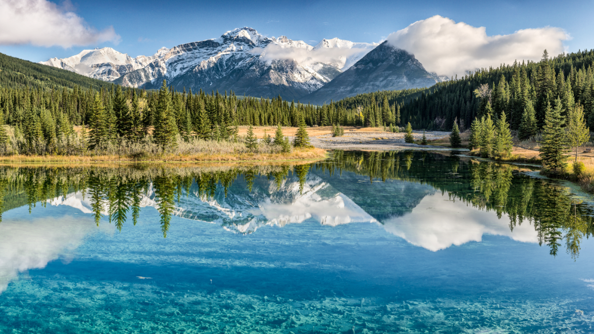Welcome to the other COP — COP15
