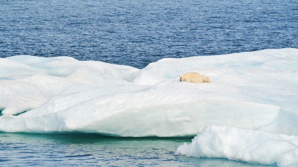 Are companies ghosting the planet on climate policy?