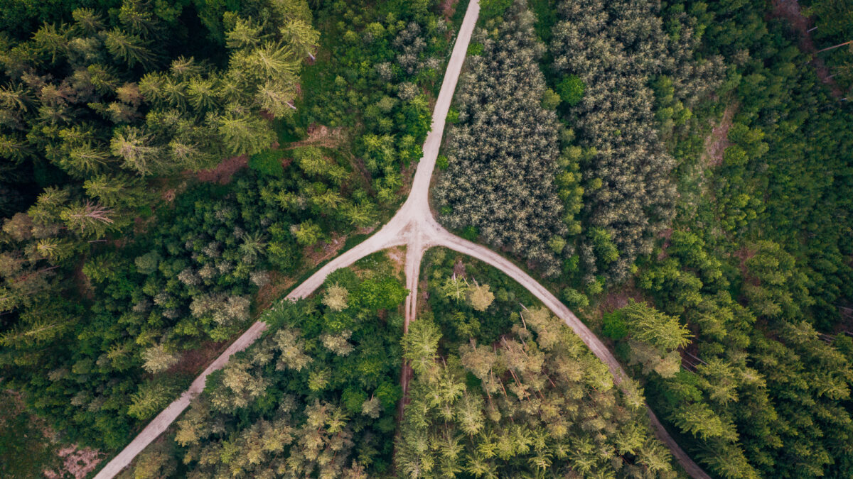 VCs come together to tackle net-zero emissions by 2050