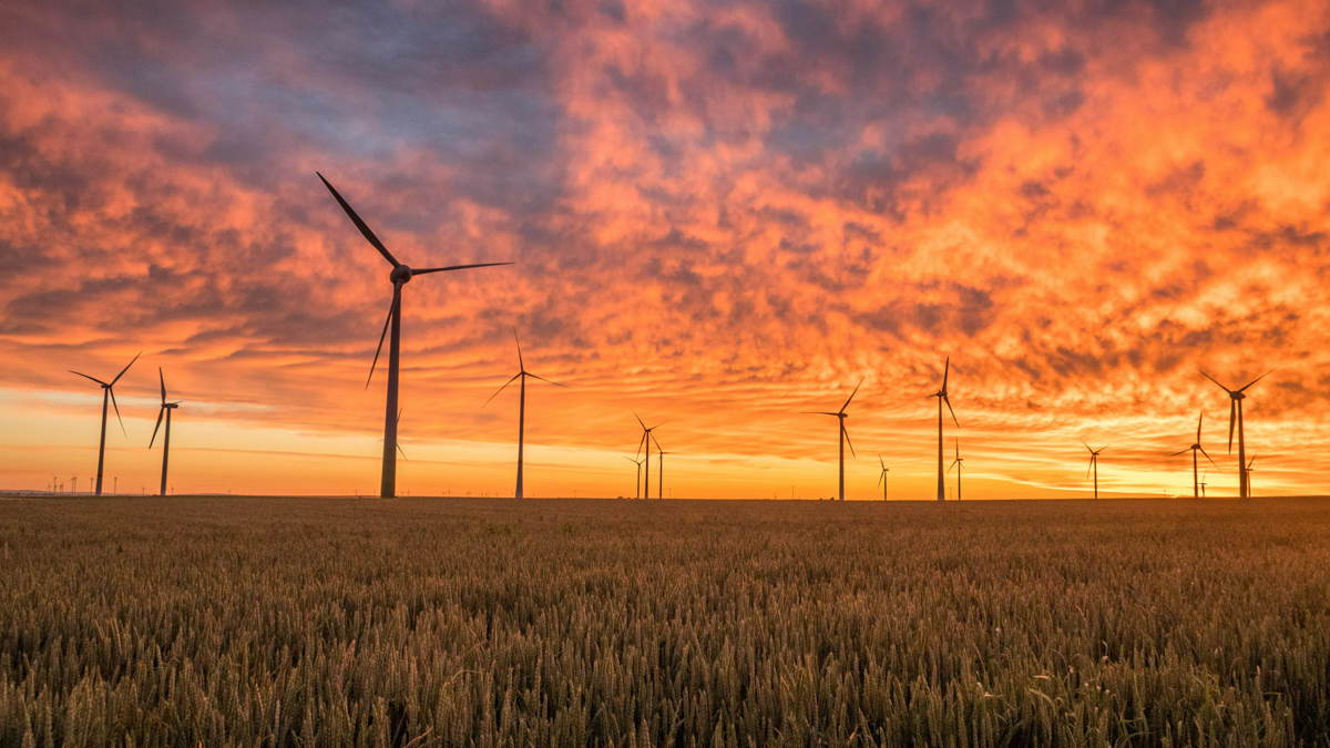 Is 2025 the year carbon credits gain traction?