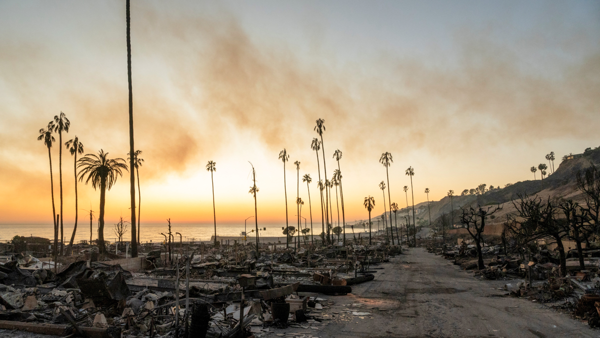 As LA fires still burn, how can we rebuild?