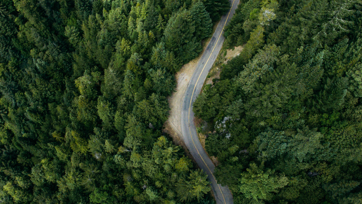 US Sustainable Investing Trends Report: 2025