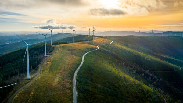 The Year of the Snake welcomes in record clean energy use
