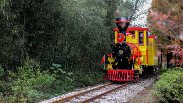 A sightseeing train in Anji’s village of Lujia, where parts of the 2000 film Crouching Tiger, Hidden Dragon were filmed. Launched in the 2010s, the train enables more tourism to the village and its bamboo forests