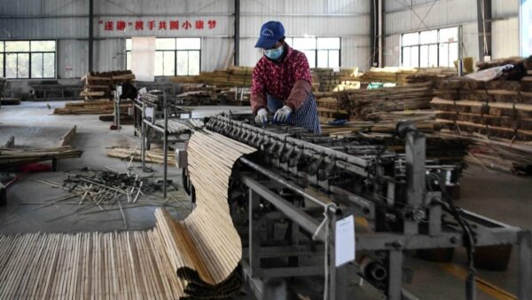 Unleashing bamboo as a climate solution — and so much more
