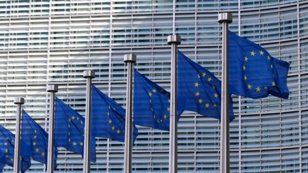EU sustainability reporting: Why experts are concerned