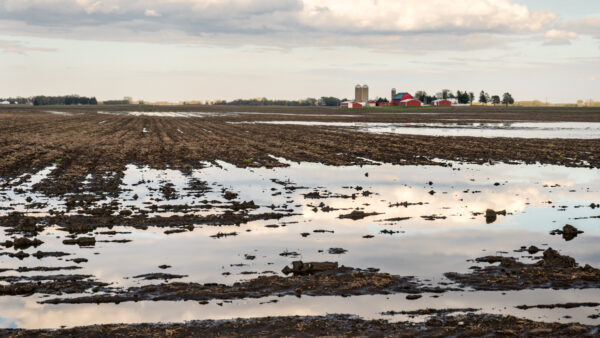 A perfect storm for US agriculture